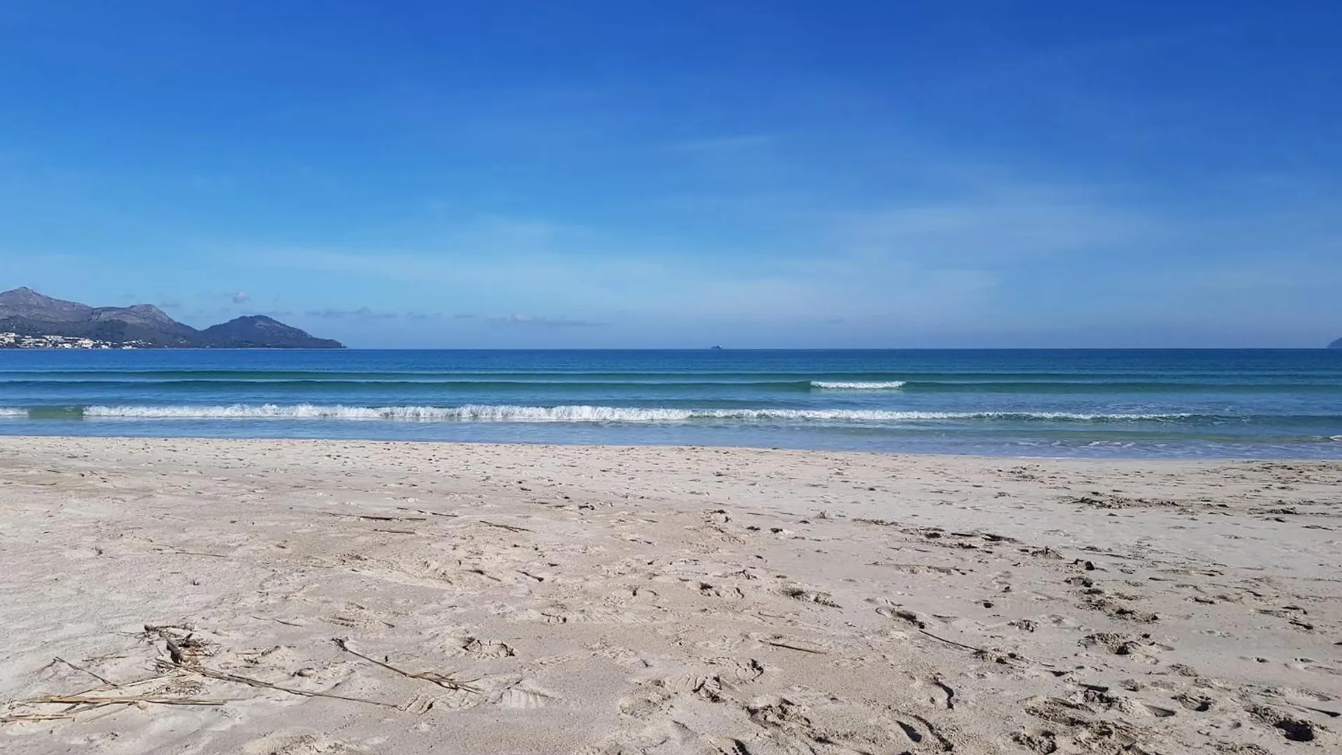 דירה אלקודיה Ideal Property Mallorca - Mar Blau